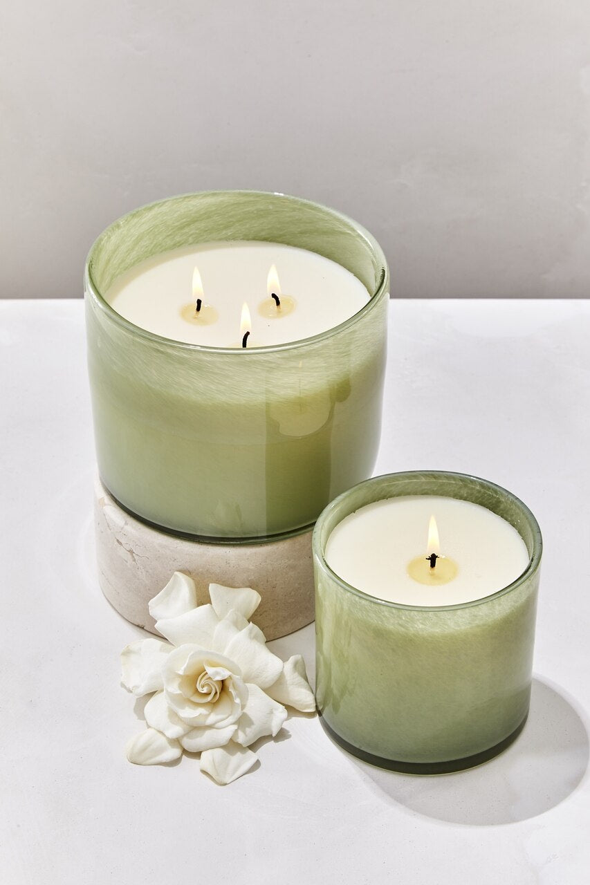 Fresh Cut Gardenia