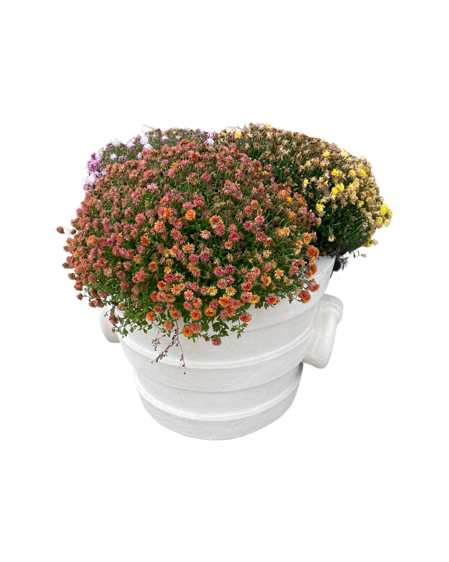 Large White Pot