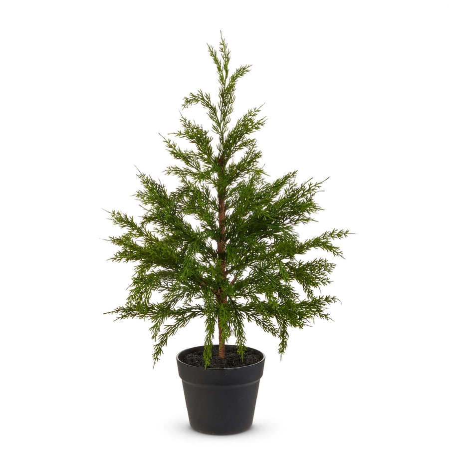 Potted Cedar Tree 27"