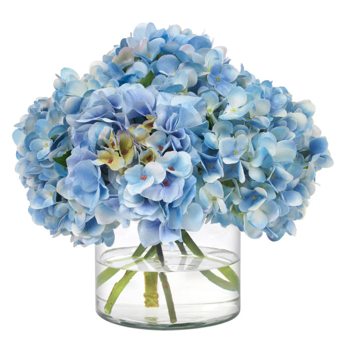 Heavenly Blue Hydrangeas