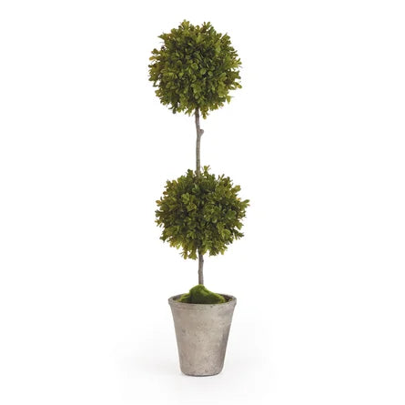 Faux Boxwood 25" Topiary Potted