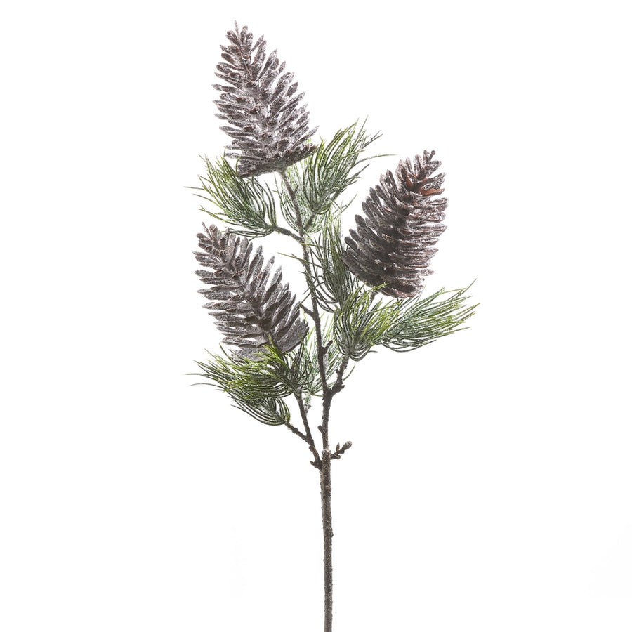 Pinecone and Pine Spray