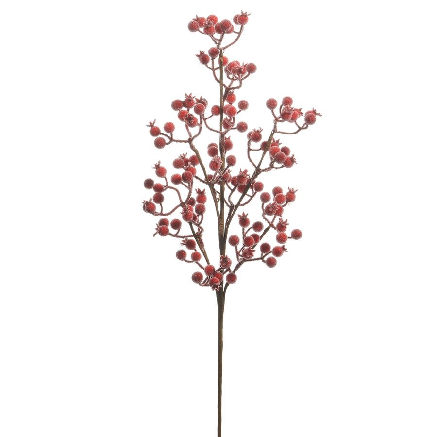 Iced Red Berry Stem