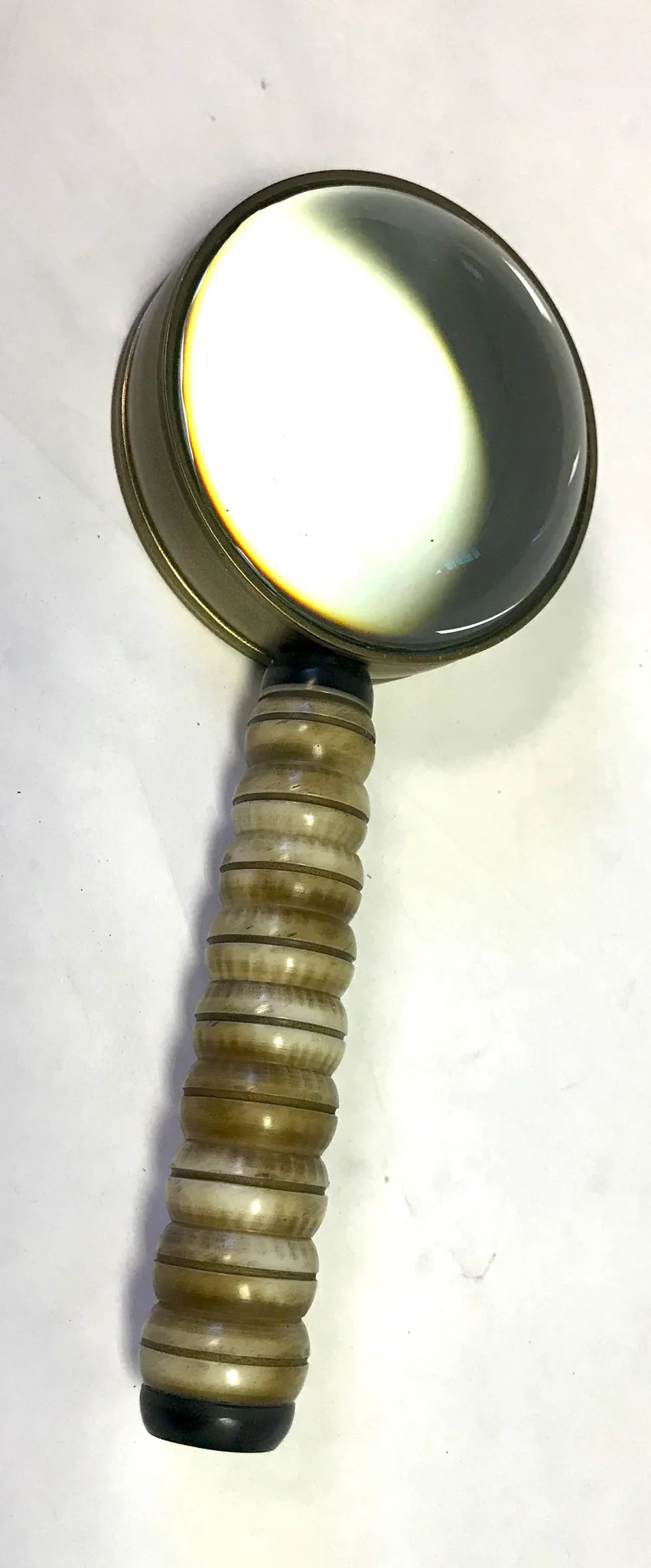 Bone Magnifying Glass