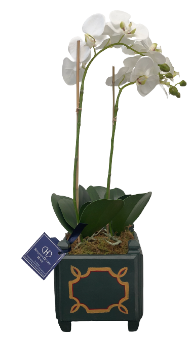Bunny Williams Tennyson Cachepot w/Phalaenopsis Orchid